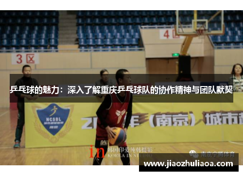 乒乓球的魅力：深入了解重庆乒乓球队的协作精神与团队默契