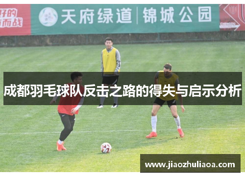 成都羽毛球队反击之路的得失与启示分析